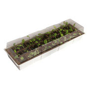 Mini Greenhouse for Window Sill